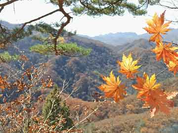 金正恩神秘登舰，揭秘未知之旅的最新内幕