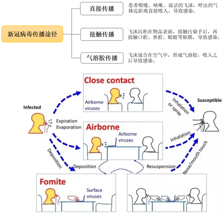 偏肺病毒传染途径