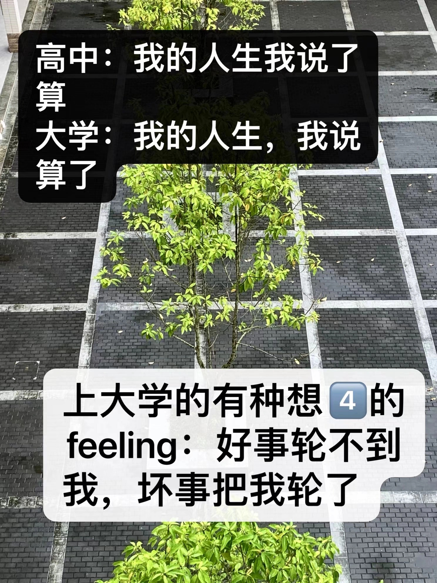 逆境中的光芒，坏了，让她读到真大学了