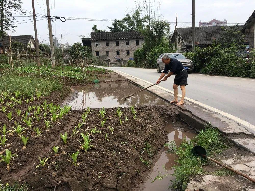 雨中☆断情殇 第7页