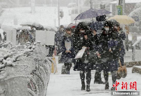 日本北部多地大雪持续天数及影响分析