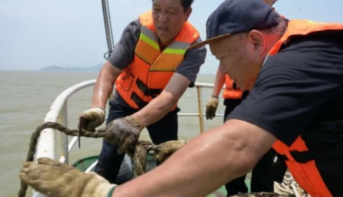 钓鱼发烧友洞庭湖鱼类图鉴，一网打尽湖中鱼种