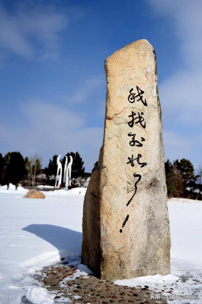 向东北看，可能有极光——探寻神秘的自然奇观