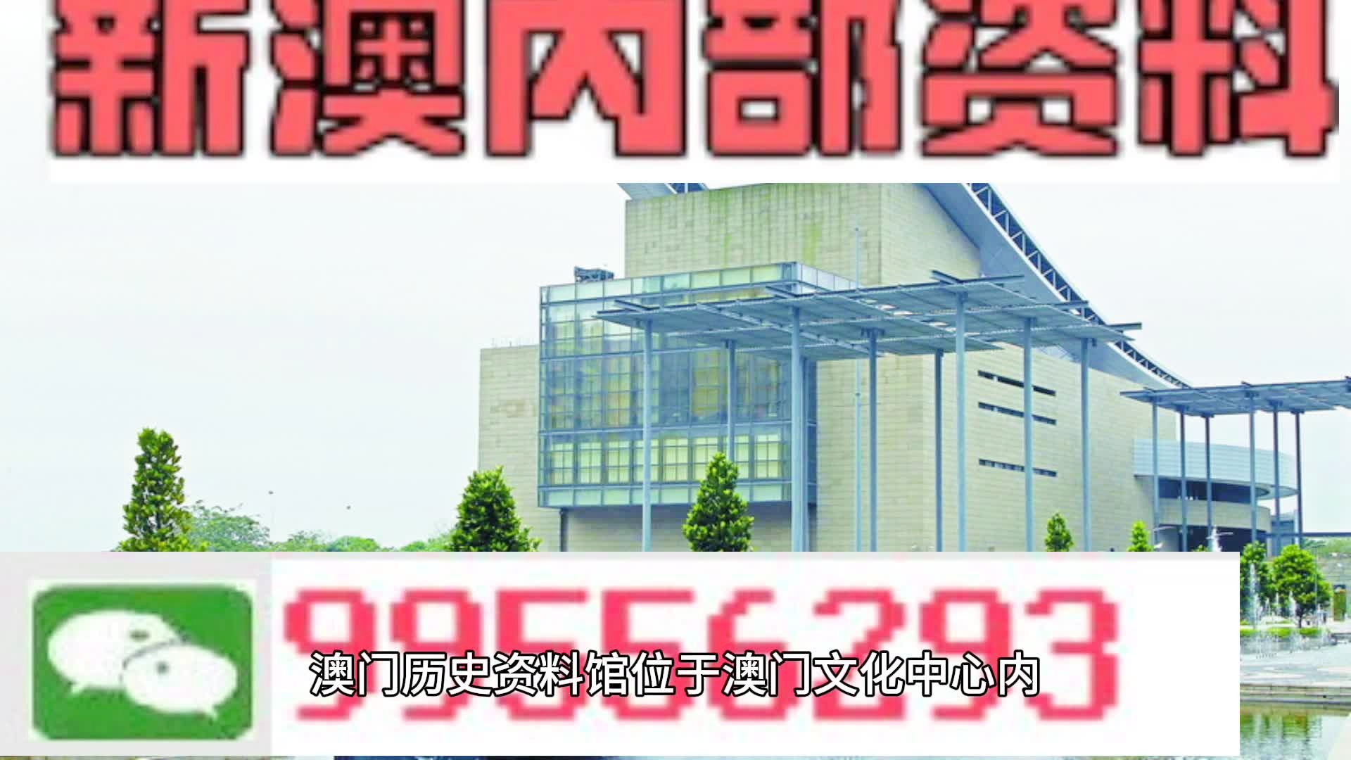 新澳门四肖四码期期准内容——揭示数字选择的技巧与策略