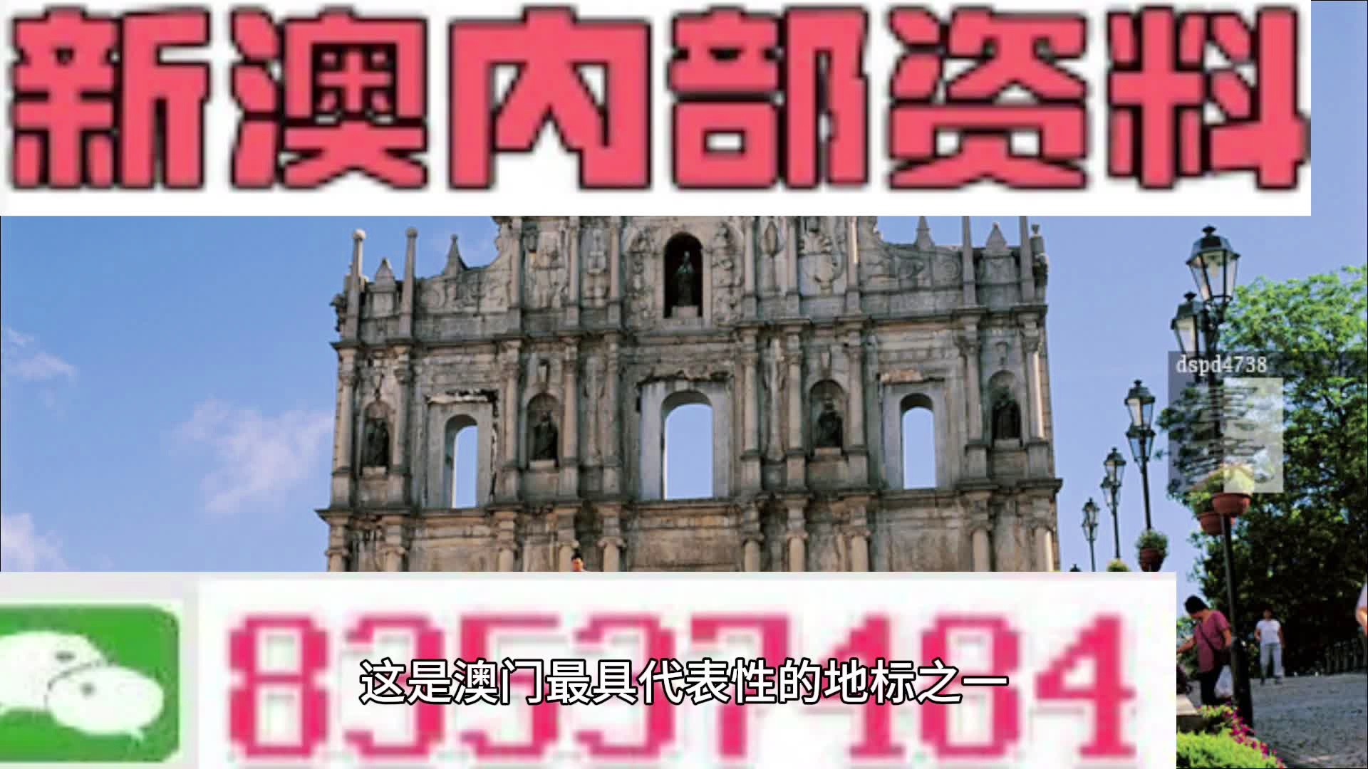 第3392页