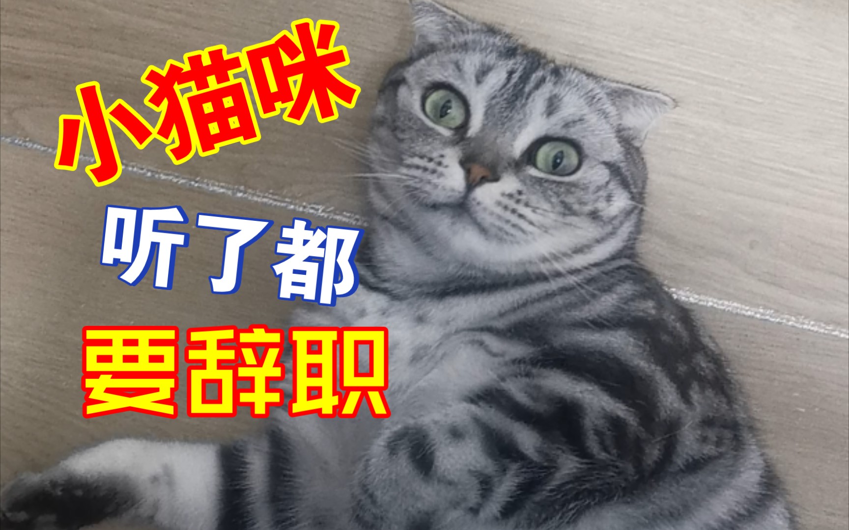 小猫的辞职之旅，一次意外的触发事件