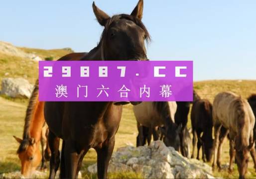 管家婆一肖一码澳门——成功之路的关键因素