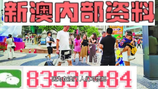 2024新澳精准正版资料——助你轻松理解数据