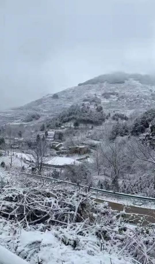 云南迎25年首场降雪，瑞雪兆丰年，银装素裹展现别样风情