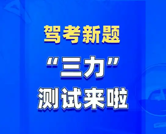 2024新奥精准资料免费——揭示数字选择的技巧