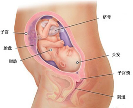 探索未知，女子怀孕8周找不到胎儿的背后故事