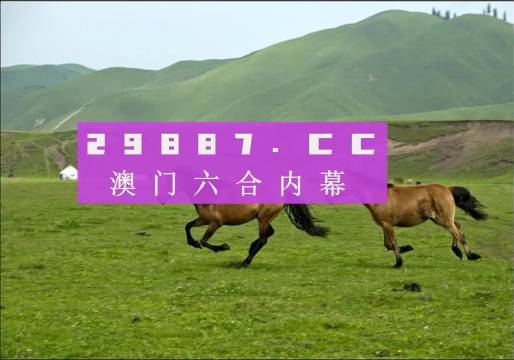 澳门正版跑狗图最新版——成功之路的关键策略