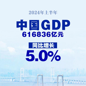 迈向繁荣，2024年GDP同比增长5.0%的战略蓝图