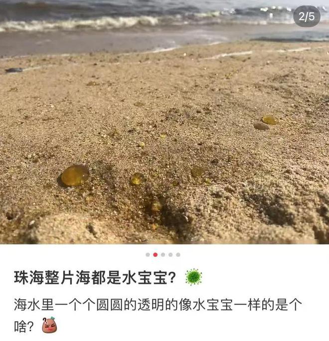 多地海边出现神秘爆爆珠，现象解析与探索