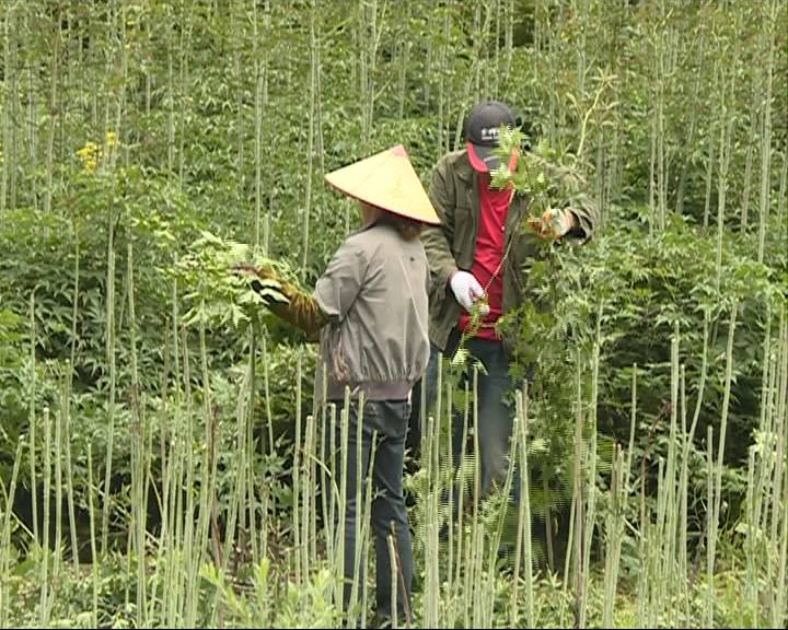 村庄给村民分获巨额奖金，120万背后的故事与意义