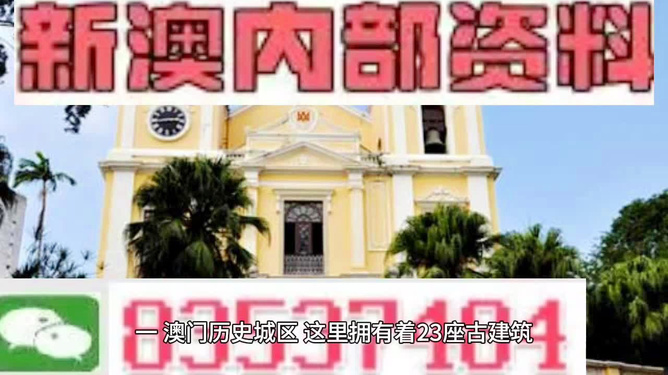 澳门最精准免费资料大全旅游团——揭示数字选择的心理因素