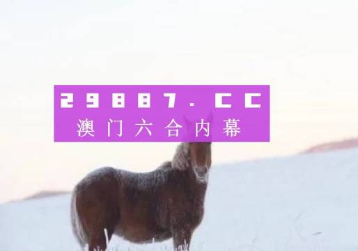 澳门一肖一码一必开一肖——青年人追逐梦想的旅程