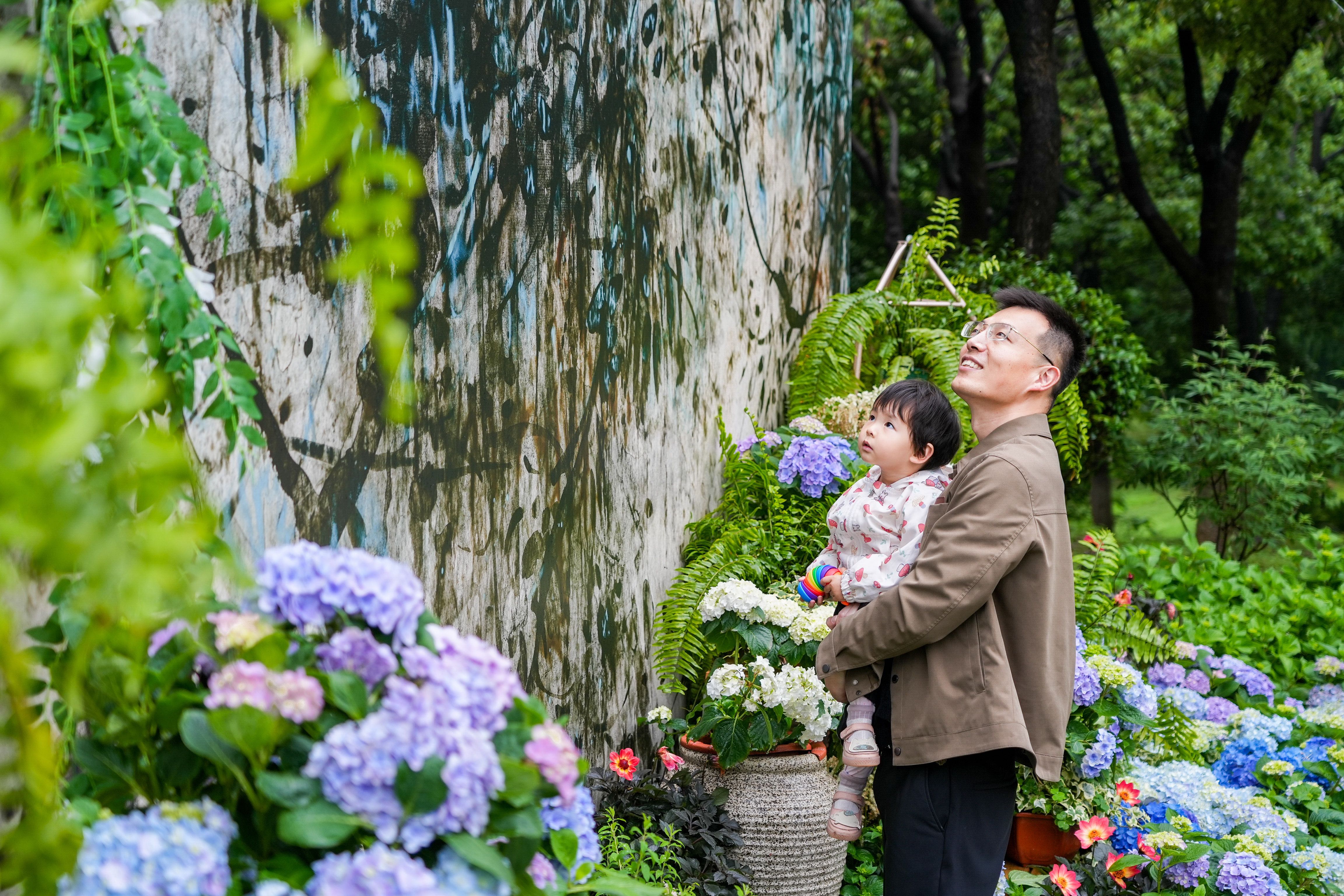 为给上级拍照打卡，花10万在地里插番薯的背后故事