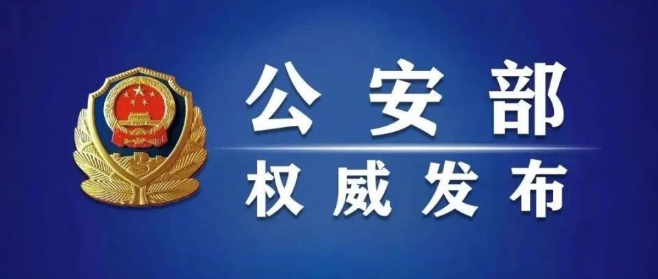 公安网安|净网2024取得显著成效