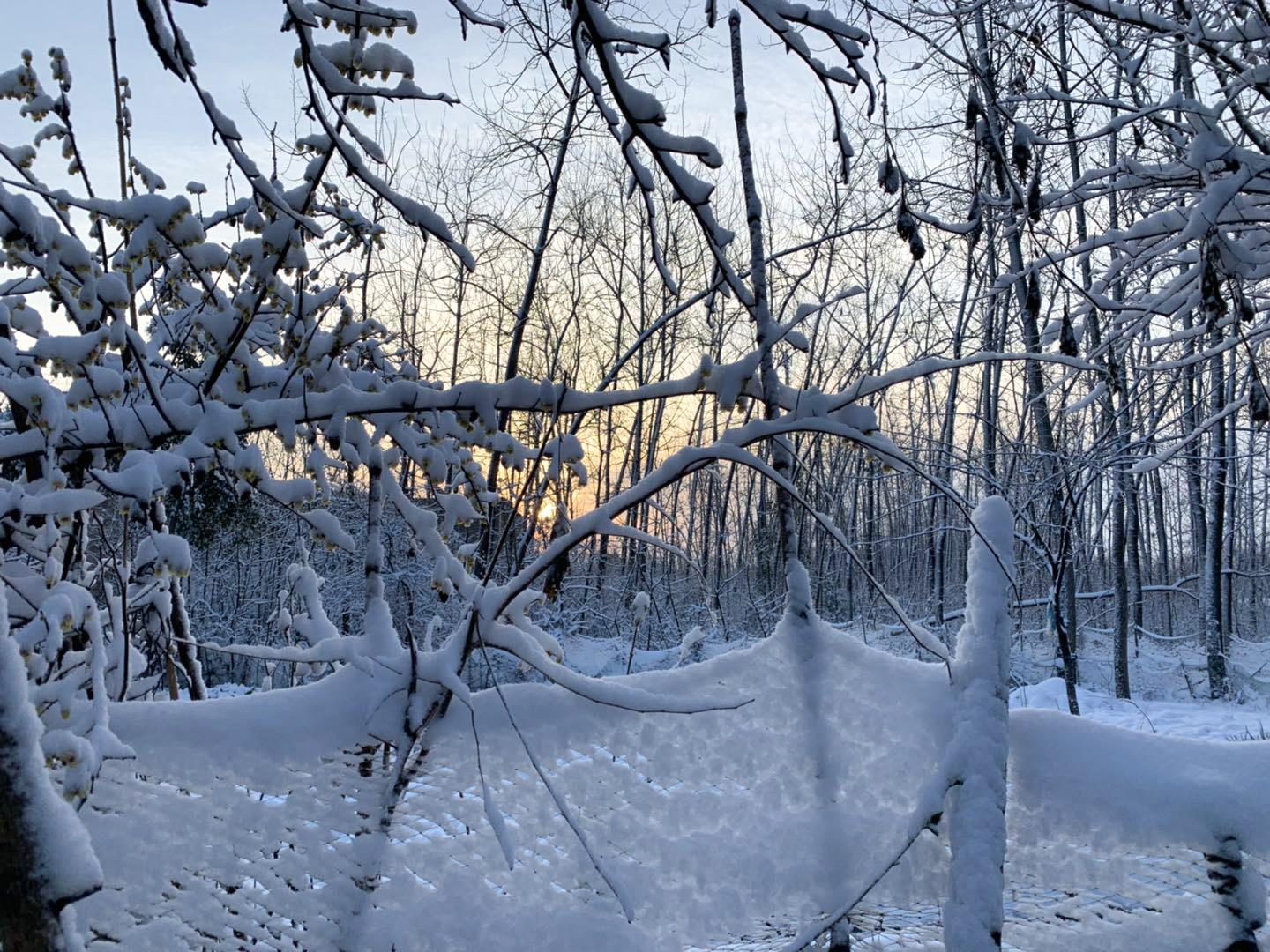 河南多地降下鹅毛大雪，白雪皑皑的冬季乐章