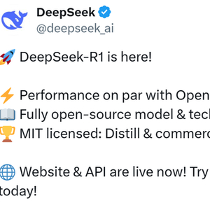 DeepSeek再次宕机，深度探讨其背后的原因与解决方案