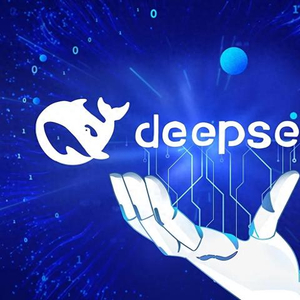 DeepSeek给全世界特别是美国上了一课