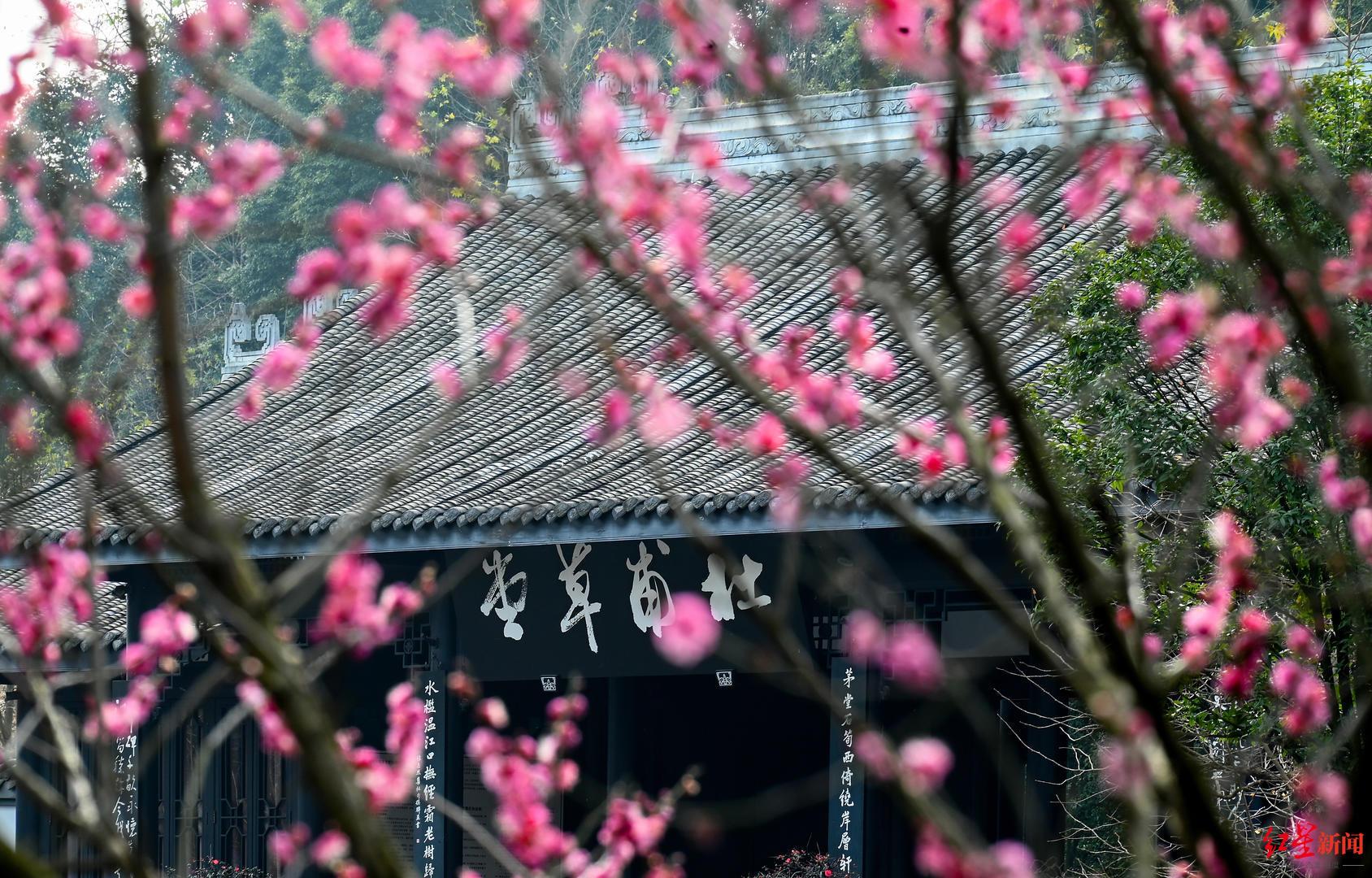 正月初七人日节，传统与文化的交融