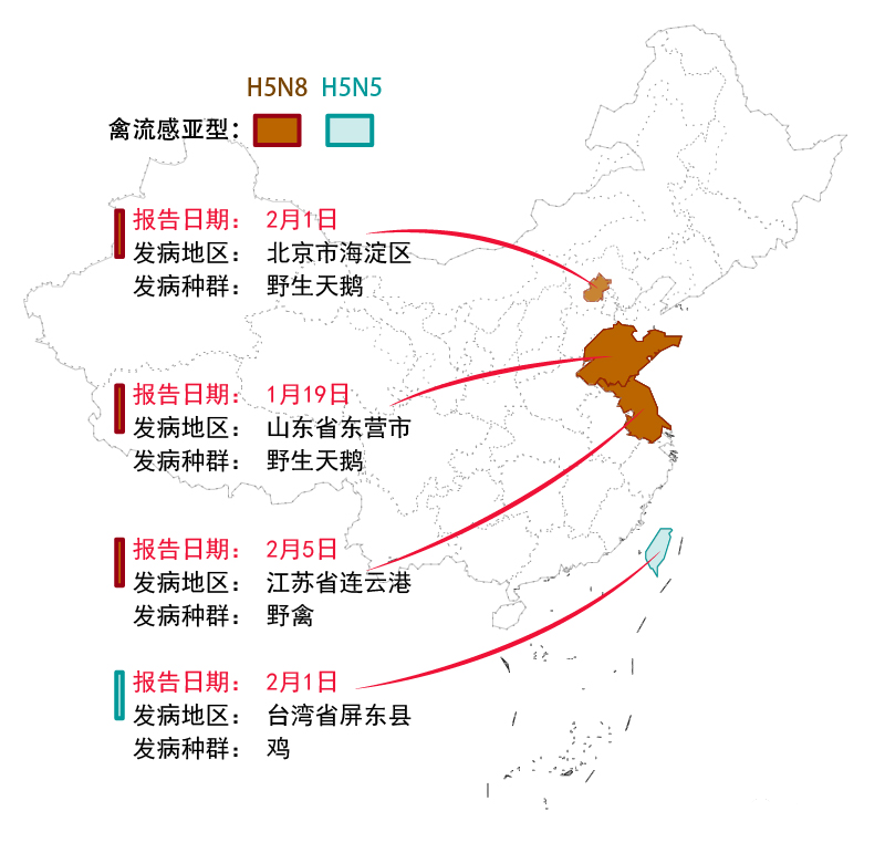 广东发布流感风险地图，权威解读背后的真相与你的健康息息相关