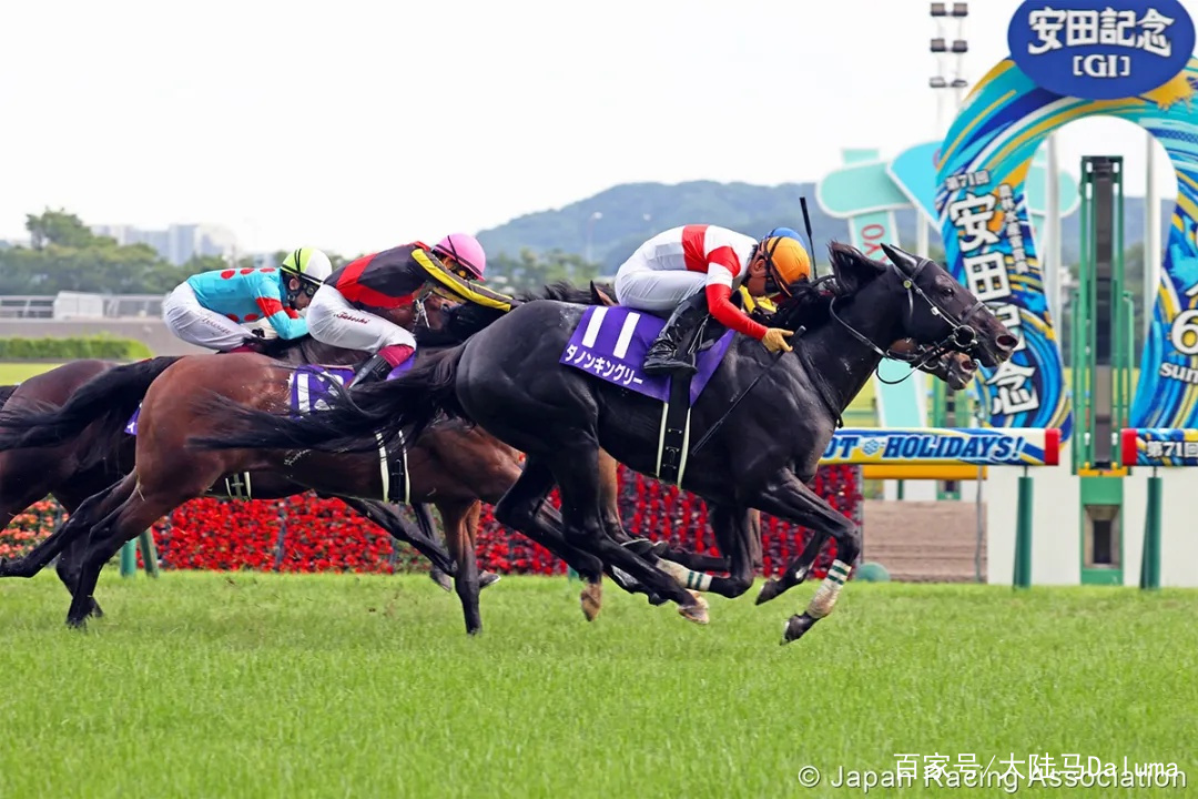 香港特马资料王中王有问必答,香港特马资料王中王_尊贵版59.369