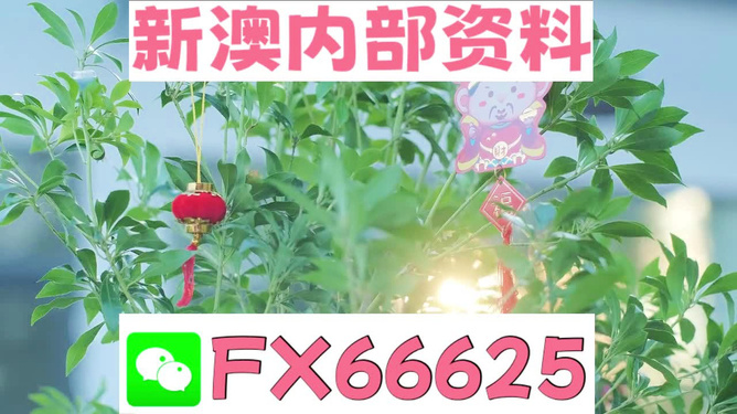 动态教程 第77页