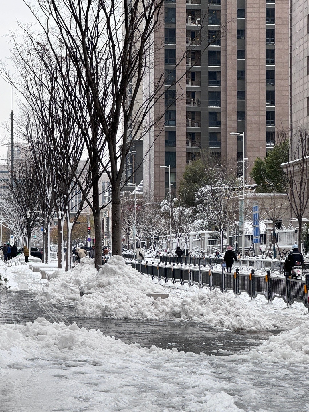 郑州下雪了，冬日雪舞背后的深度解读