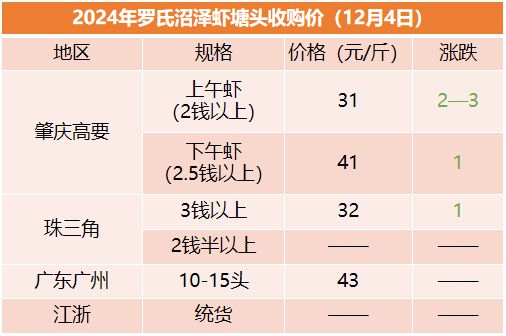 2025年3月17日 第11页