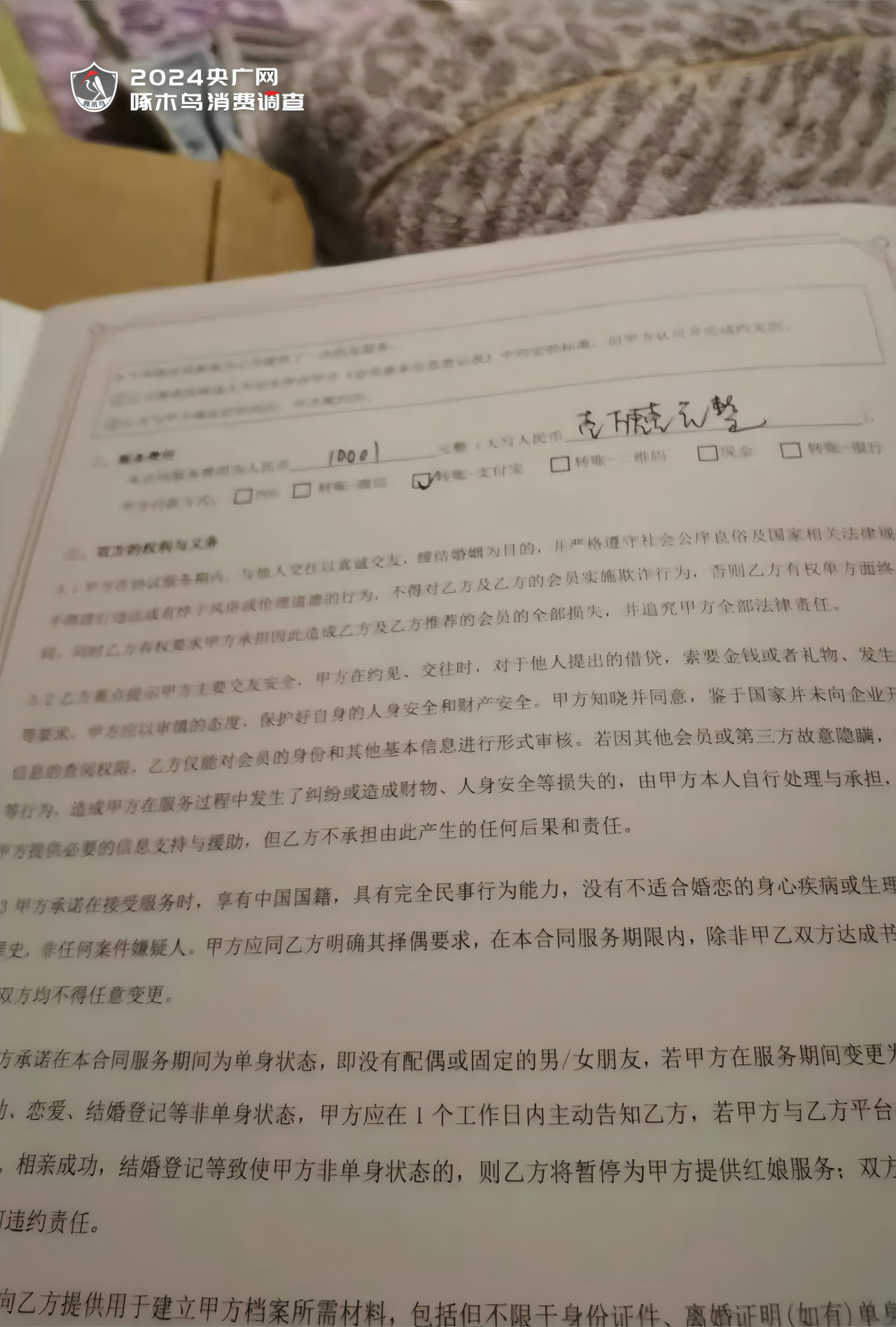 震惊！揭秘偷签婚介合同的真相，涉案金额高达三万！